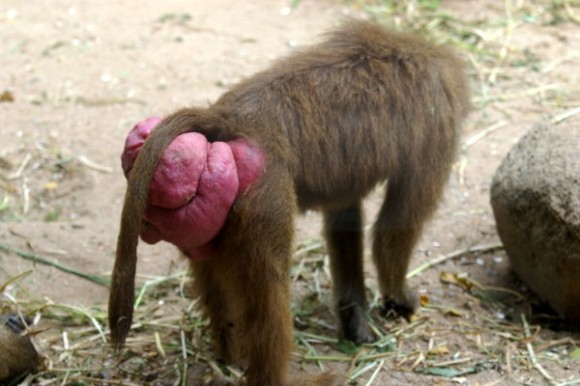 Your face looks like this