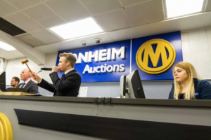 Manheim stock shot
