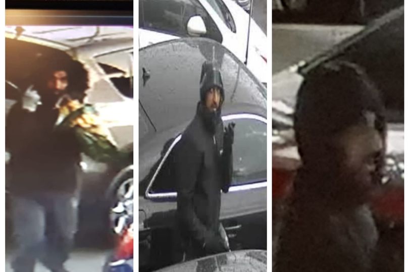 Can you identify serial thief targeting dealership forecourts in a