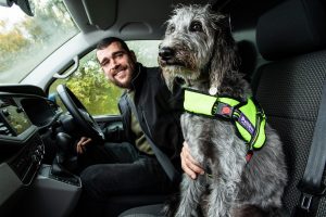 A van driver with his dog on the passenger seat