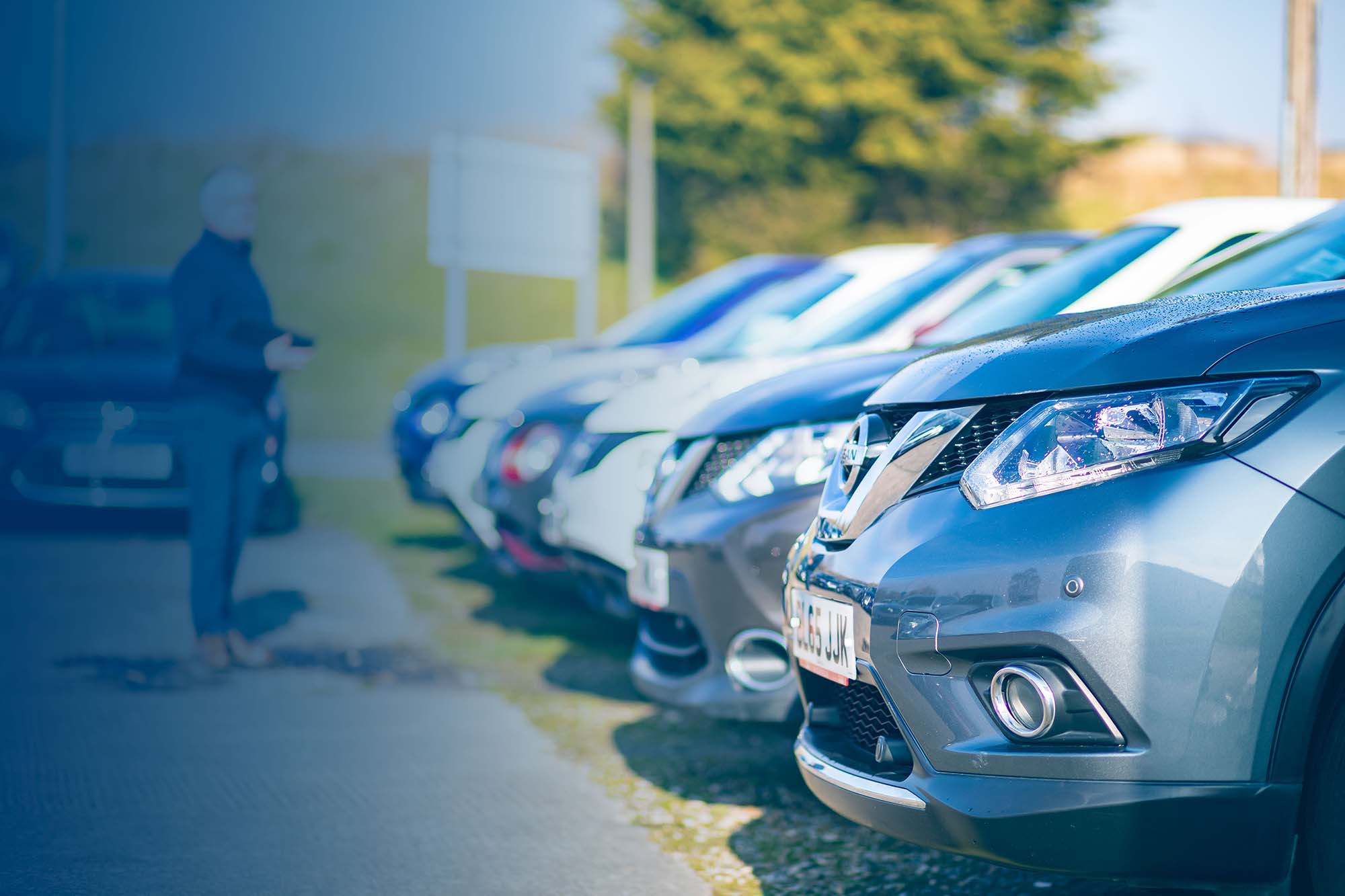 New Car Dealer Profit Margin at Imogen Troy blog