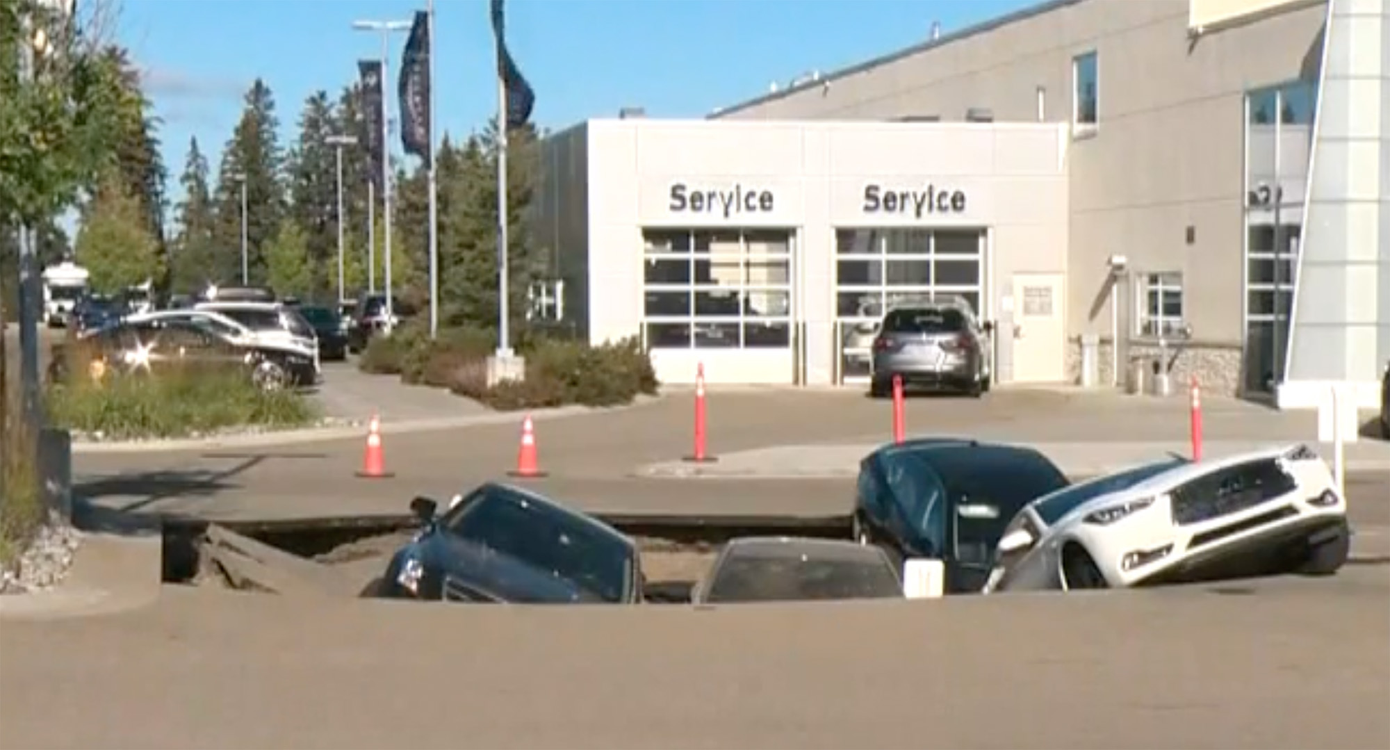 World News Dealer 'kidnapped, robbed and dumped'; Horrific forklift