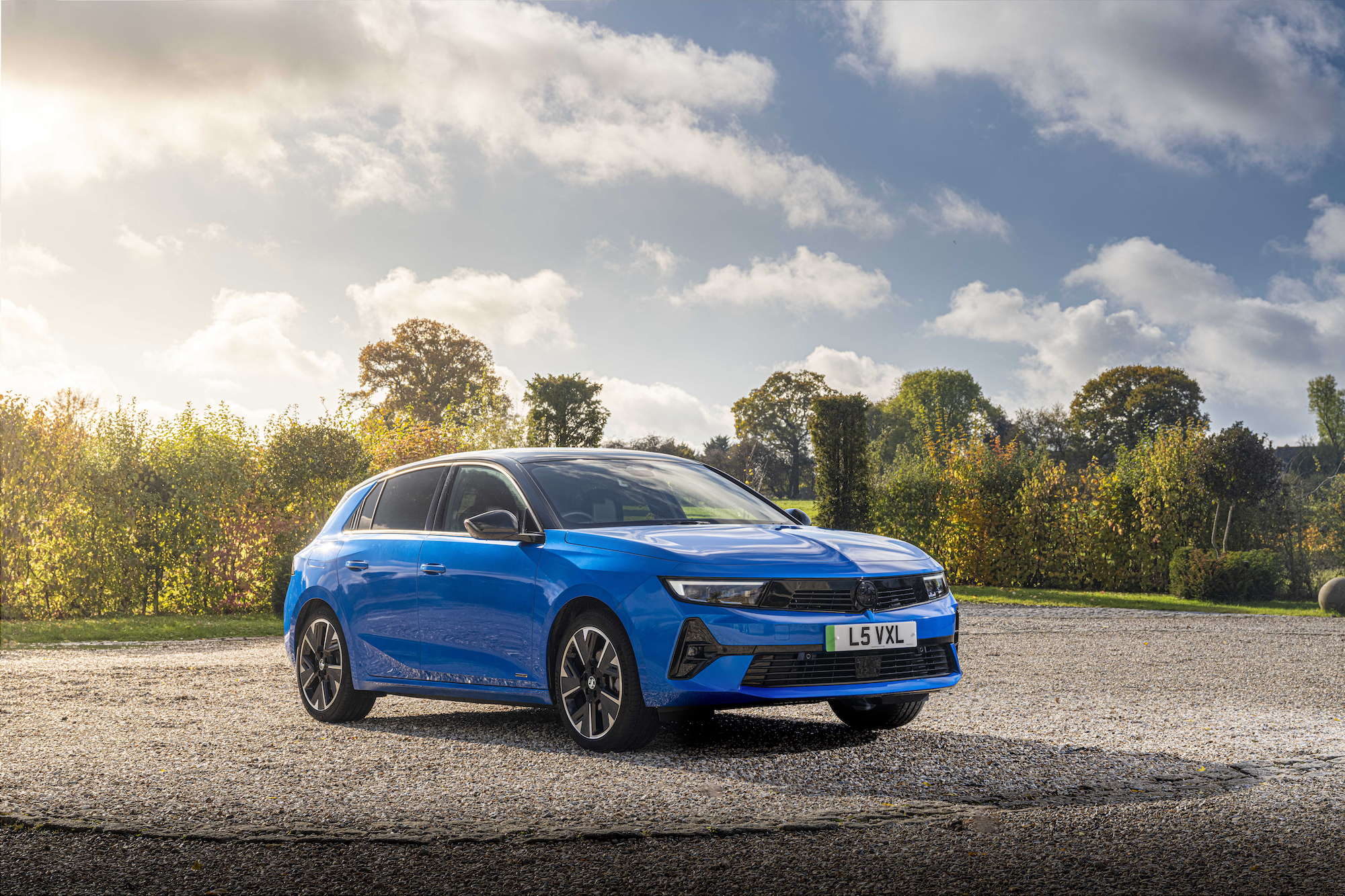 Car dealers are 'critical' to help customers make switch to EVs ...