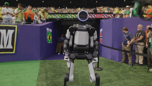 Hyundai robot